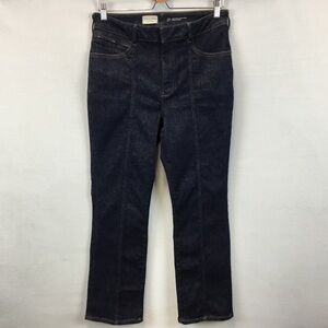 Anthropologie Pilcro High Rise Front Seam Straight Leg Jeans Dark Wash